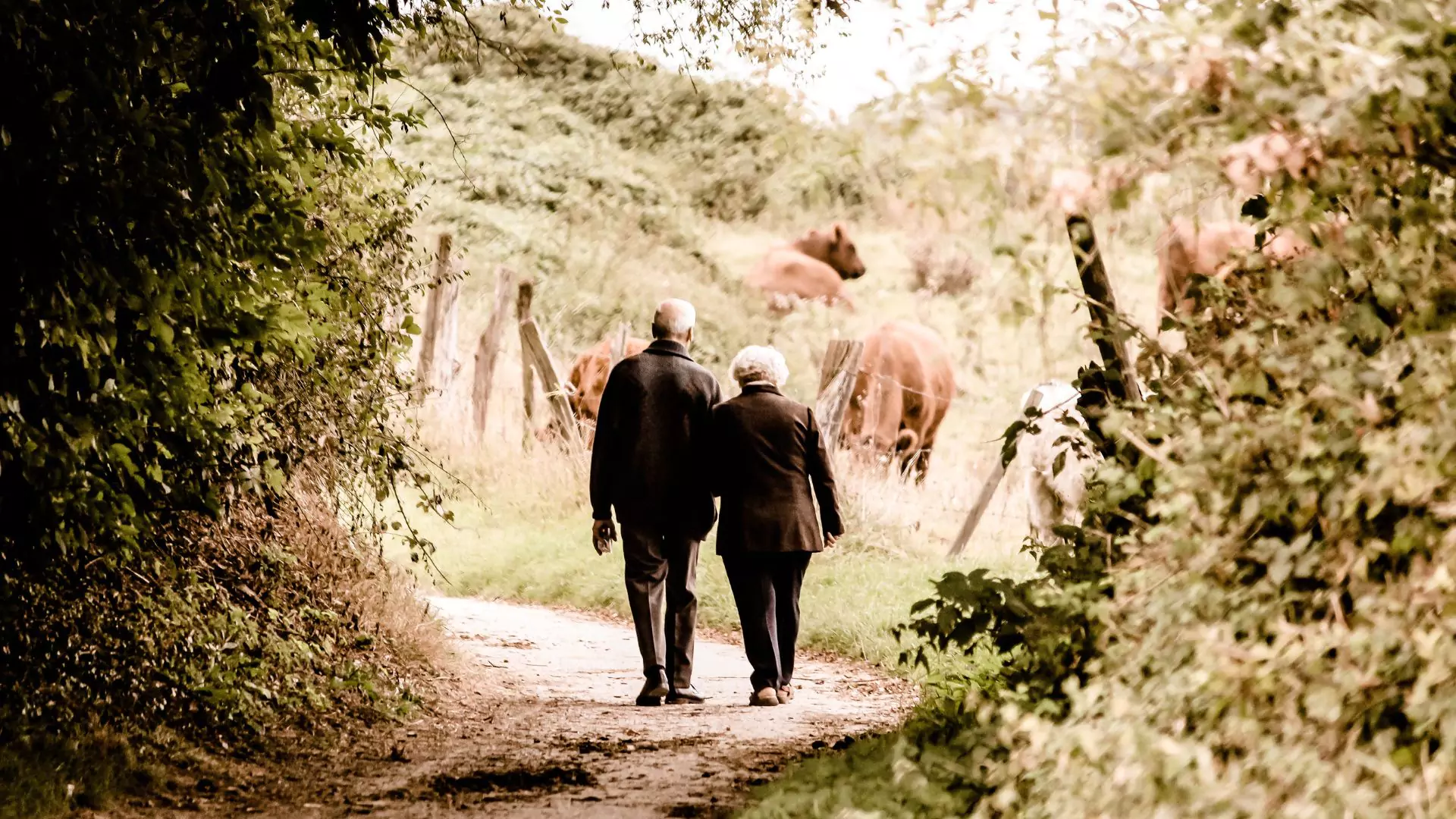 Jaka będzie twoja emerytura w UK? State Pension