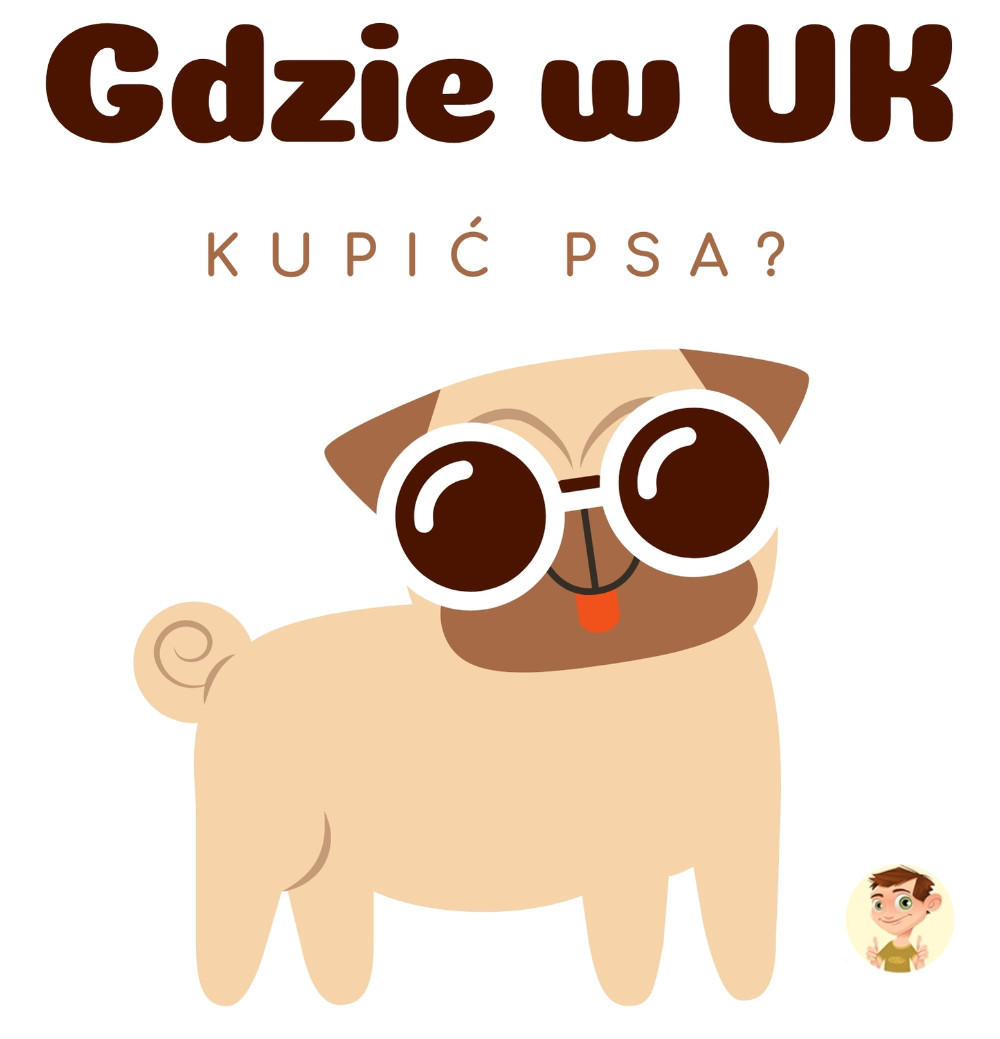 grafika przedstawiająca psa