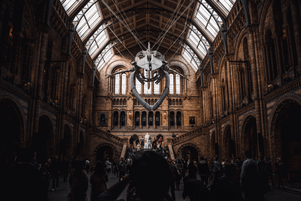 Muzeum Historii Naturalnej w Londynie