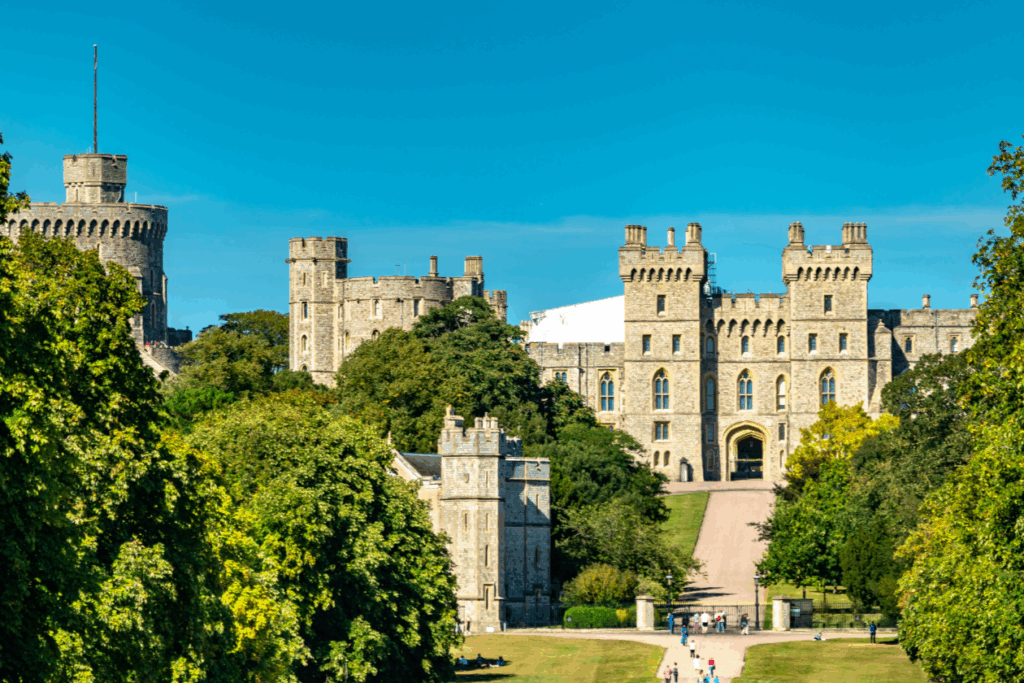 Windsor